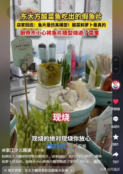 还能这样？食客疑酸菜鱼为塑料制，专家实验后：鱼肉就是塑料做的