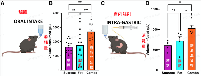 这种让人上瘾的食物，比喝油更容易胖