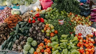 临沂食品产业加快发“新芽”