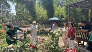 与居民共赴“月季之约”，武汉首义广场科普课堂进社区