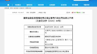 因编制提供虚假财务资料，江苏方正保险公估云南分公司被罚1万元