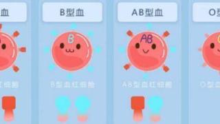 A型、B型、AB型、O型血的人，哪种血型身体更好？你是什么血型？