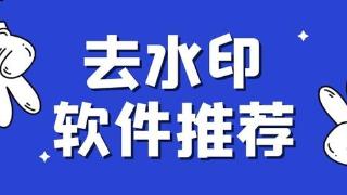 ev视频转换器可以单个视频去除水印，还可以多个视频批量去除