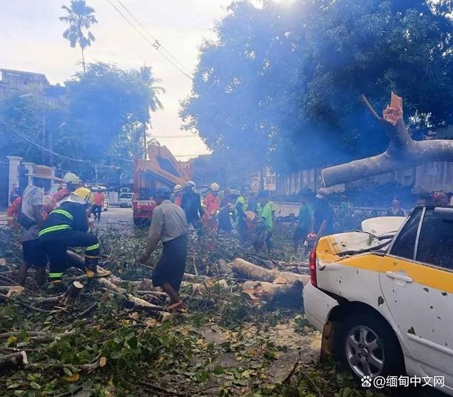 缅甸仰光暴雨如注，多地树木倒塌引发交通混乱