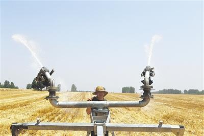 抓好“三夏”生产 保障粮食安全·抗旱保秋｜战高温 灌溉忙