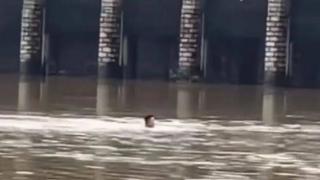 一名男子在台风过后下水捕鱼被困水中 消防人员迅速营救