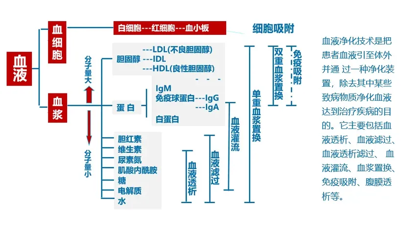 血液净化 | 为什么要做血液排毒净化，血液净化的作用是什么？