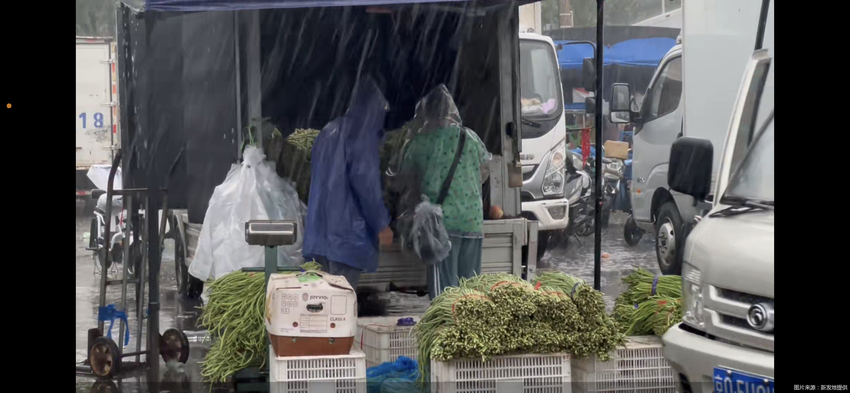 雨天不断供 批发市场提前设排水装置、蔬菜供应不断档