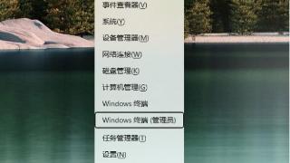 win11应用商店更新新版方法