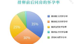 排卵前同房与排卵后同房：哪个怀孕率更高？