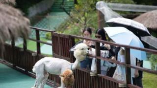 非常重庆 非常好耍丨双节来临 涪陵旅游迎来“开门红” 各大景区人气火爆