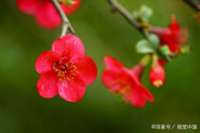 出现这三种信号，意味着你的苦日子要来临了，别掉以轻心