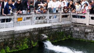 济南黑虎泉成外地游客最爱，可以免费看免费喝泉水！