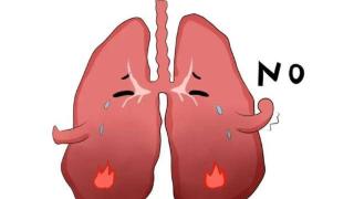 肺部有疾，痰液先知？