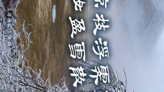 镜界 | 玉树琼枝浮霁雾，淡妆盈雪散灵光（一周精选第253期）