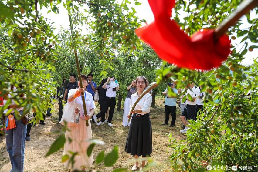 山东乐陵：白露长桌宴 喜迎八方客