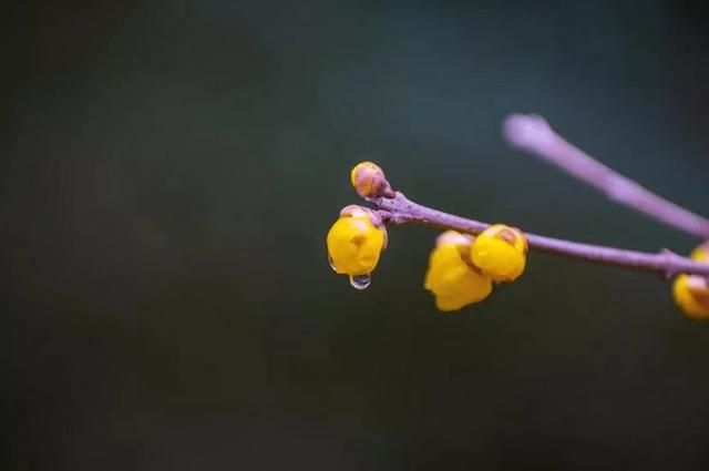 退休后，无论是健康还是金钱，都要倍加呵护和珍惜