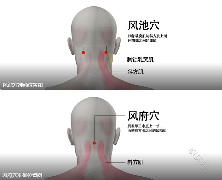 秋冬季胃病患者一定要做的事：保暖和养好脾胃！