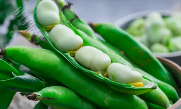 糖尿病最怕的食物！生活中可以多吃一点！