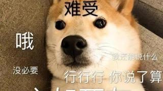 狗狗被主人“抛弃”的几种结果，不养狗的人真的难以想象