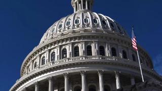 美国国会提出罢免特勤局局长职务的决议