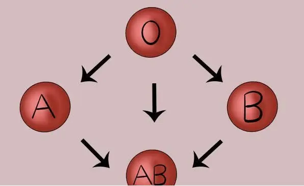 A型、B型、AB型、O型，哪种血型的人抵抗力好？看看你是啥血型？