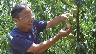 王金良： 钱塘江边的“植保专家” 巴山蜀水的“扶贫使者”