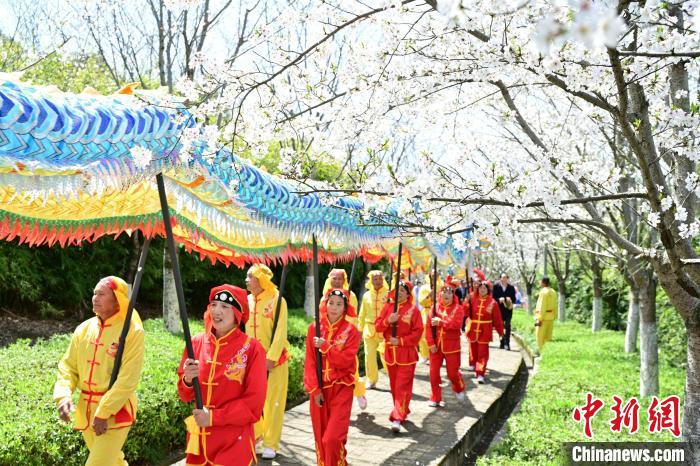 浙江乡村拼创意“走花路” 掘金“春花经济”