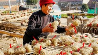 芜湖市湾沚区：粉丝经济促增收