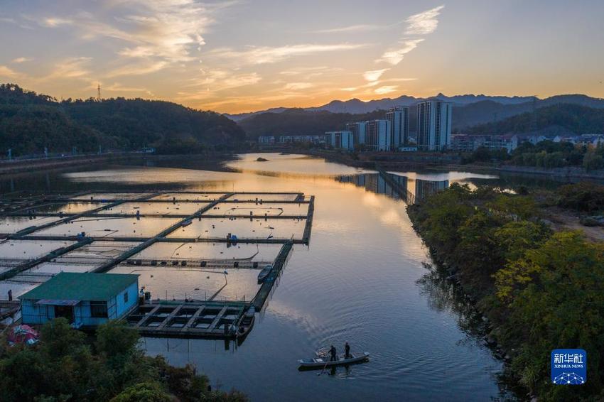 浙江建德：特色种养殖产业助力文旅消费新活力