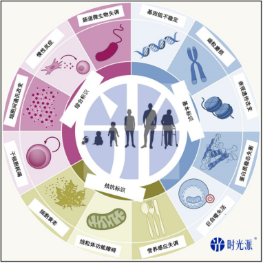 一次注射，持效半辈子！百万一针细胞级“抗衰疫苗”真的要来了？