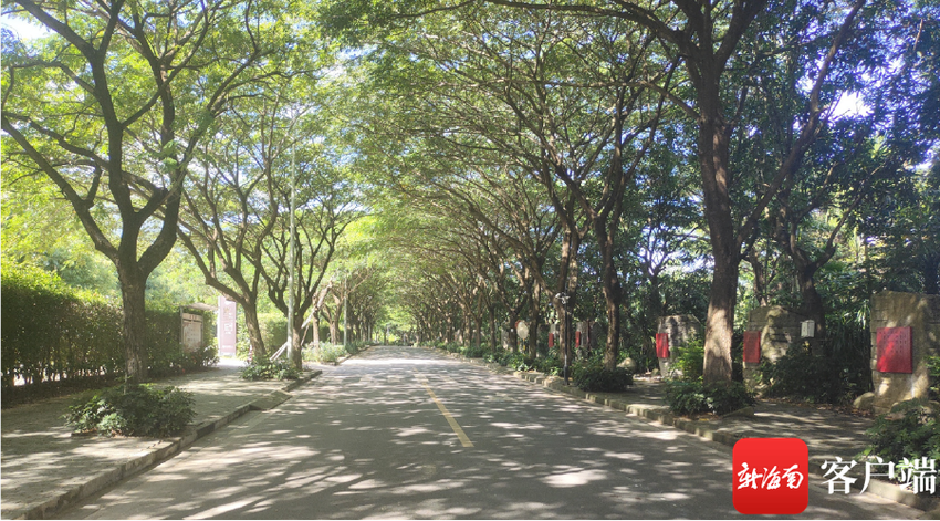 三亚这些最美示范村和乡村道路 藏着向往的生活