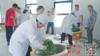 2024年张湾区茶叶产业链（茶匠）职业技能培训开班