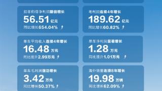 一图看懂：长城汽车2024上半年利润暴涨4倍 每辆车多净赚1万元