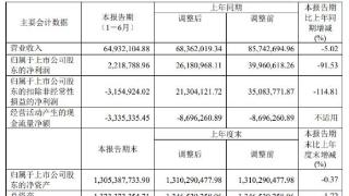 破发股晶华微收监管工作函 去年上市募10亿净利降7成