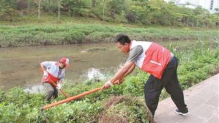 市住房和城乡建设局用实际行动保护思茅河