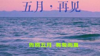 在夕阳西下的渡口久久地徘徊流浪