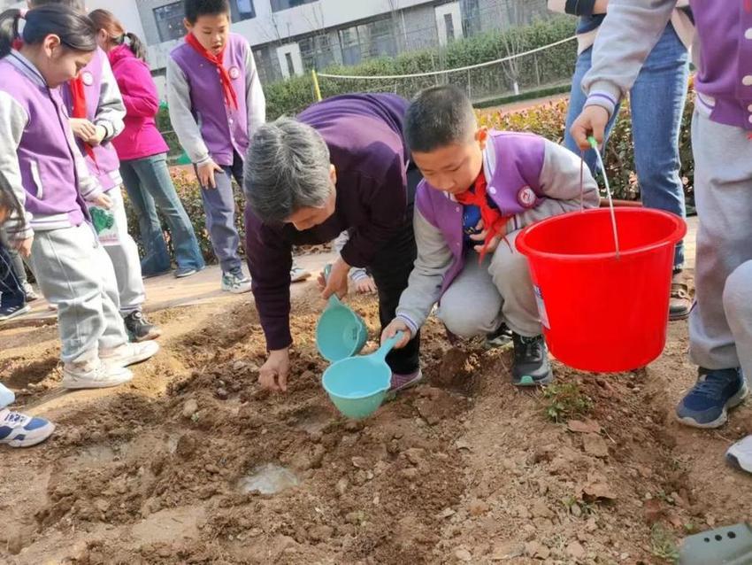 龙抬头·农耕情·劳动美——济南高新区康虹路小学春耕节活动