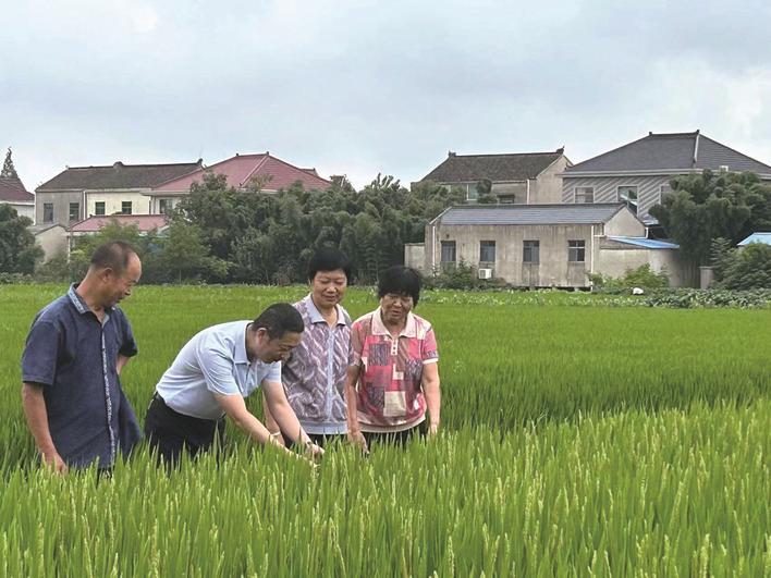 沈勇：村民信服的带头人