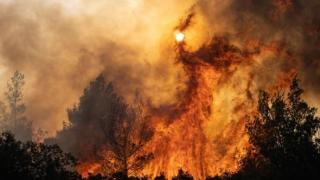 希腊高温大火 上万游客疏散
