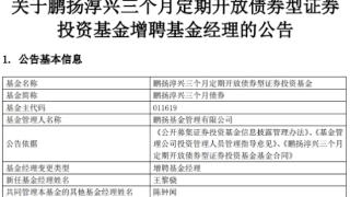 鹏扬淳兴三个月债券增聘基金经理王黎骁