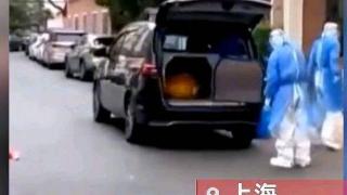 上海一福利院老人未死亡被转运殡仪馆现场对话曝光，网友：假死？