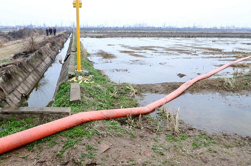 常德西湖管理区：沼气为“媒”种养“牵手” 农业循环有高招