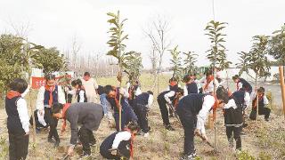 新街镇组织学生开展植树护绿活动