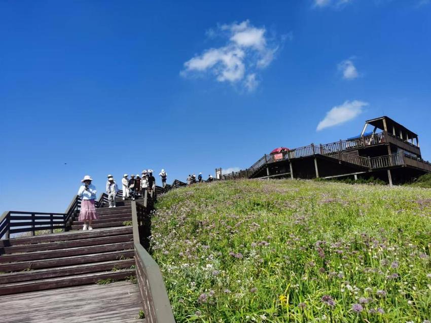 阿西里西韭菜坪：避暑度假旅游潮 带活小山村