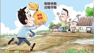 新华视点｜助力防汛救灾和灾后重建 保险如何更好发挥作用？