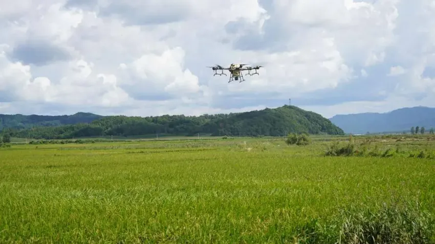 吉林受灾地区推动补栽抢栽减少农业损失