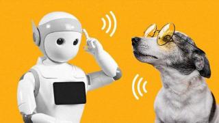 破译动物语言，是否会成为AI发展合乎逻辑的下一步？