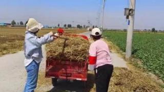 焦作市示范区宁郭镇：打好秸秆“三张牌” 环境卫生有保障-精品原创-焦作-映象网