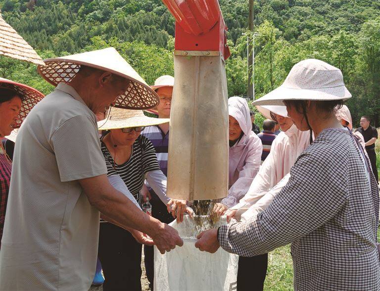 油菜田间测产忙 群众增收有盼头